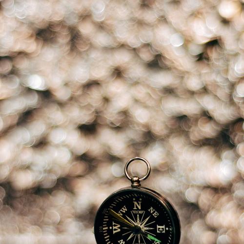 Photo #4086695