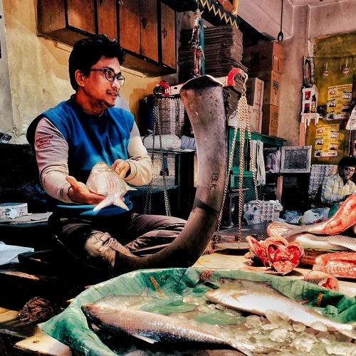 Photo #4086749