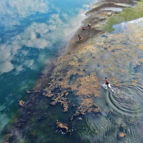 Photo #4087174