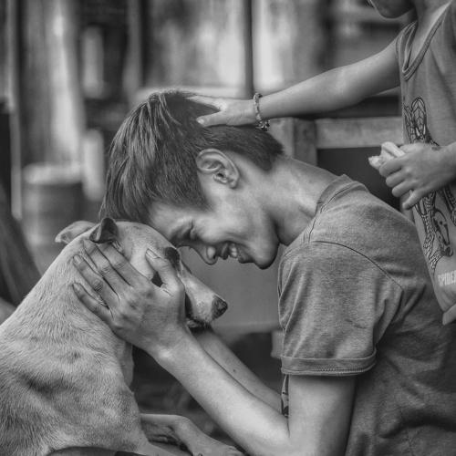 Photo #4087428
