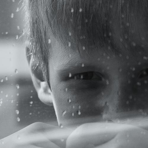Photo #4087440