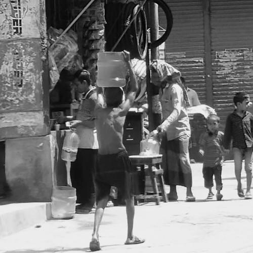 Photo #4087443