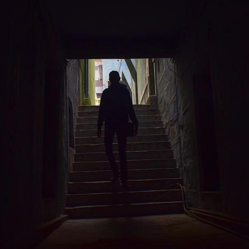 Photo #4087456