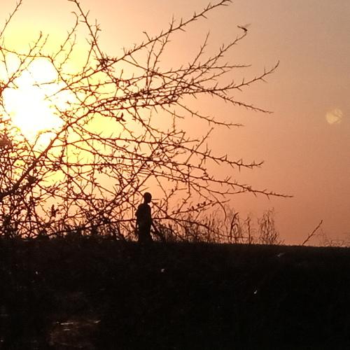 Photo #4087847