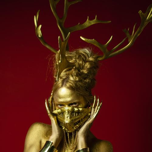 Photo #4088311