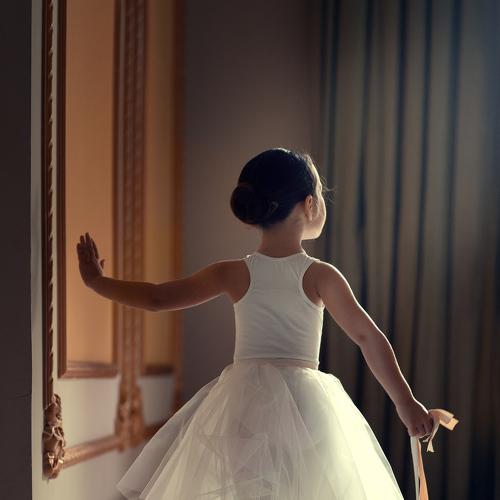 Photo #4088473