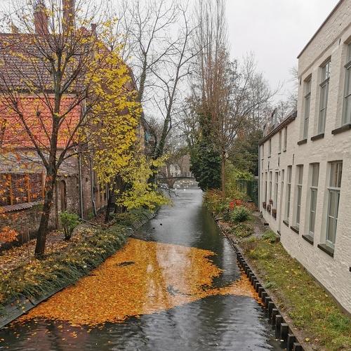 Photo #4088656