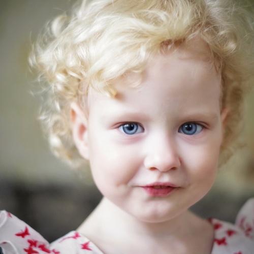 Photo #4088885