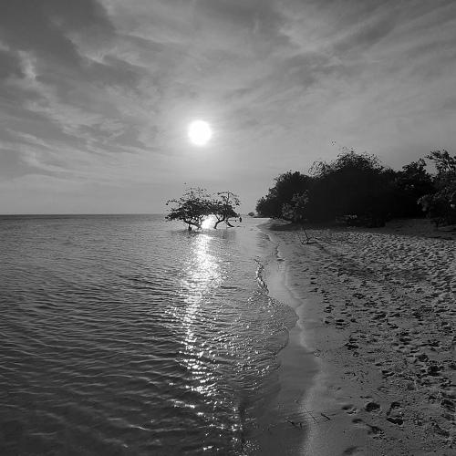 Sunset on Love Island