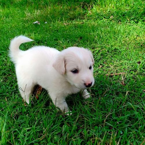 Photo #4089829