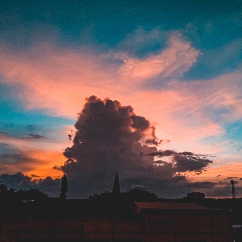 Photo #4090202
