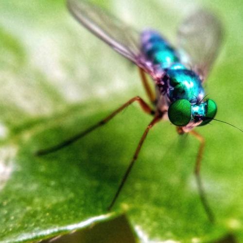 Photo #4090206