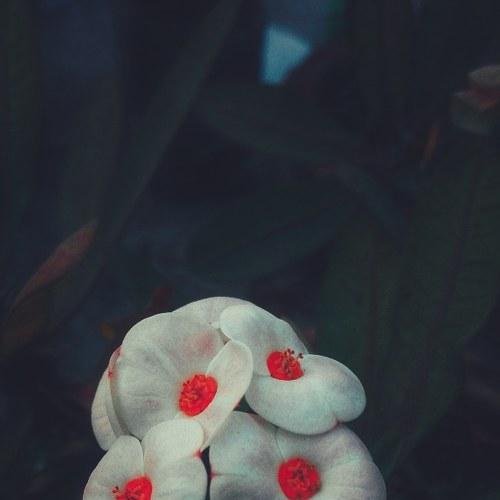 Spread love