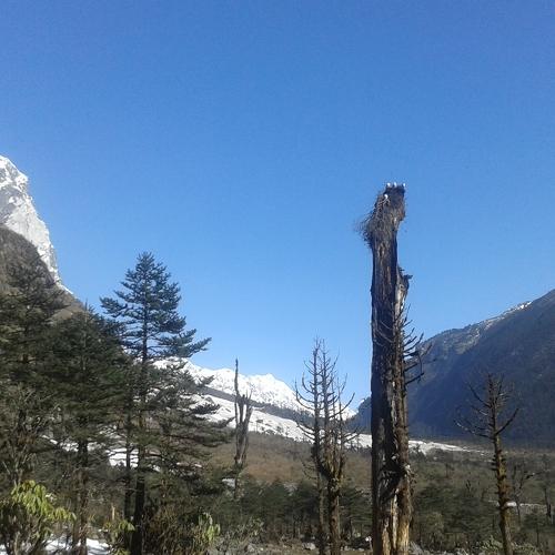 The beauty of Lachung