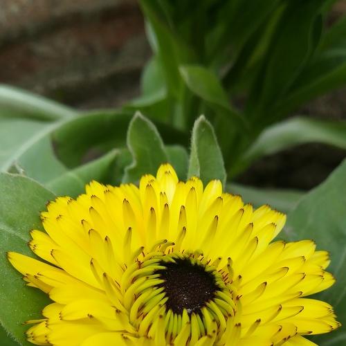 Photo #4090920
