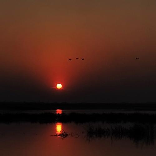 Photo #4090976