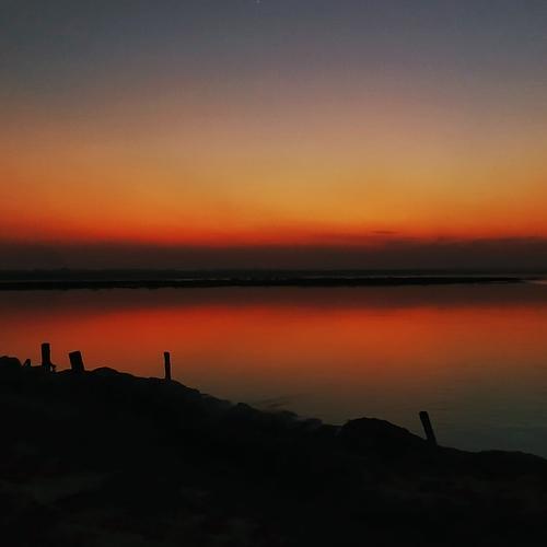 Photo #4090977