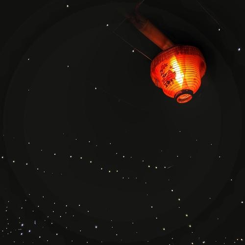 In the night of celebration