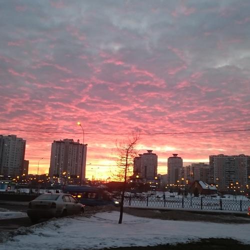 Photo #4091115