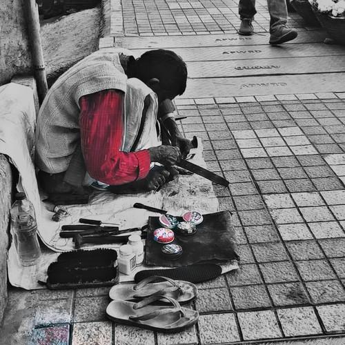 Photo #4091678