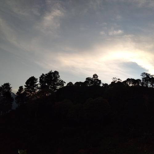 Photo #4091950