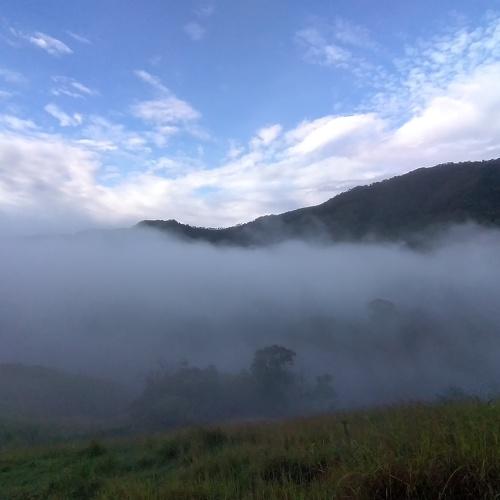 Photo #4091979