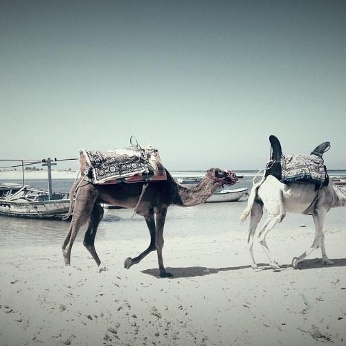 Photo #4092052