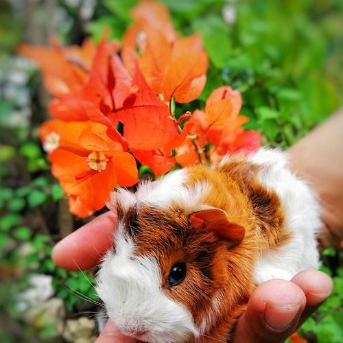 Photo #4092243