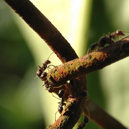 Photo #4092345