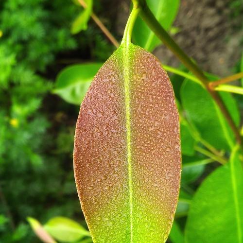 Photo #4092577