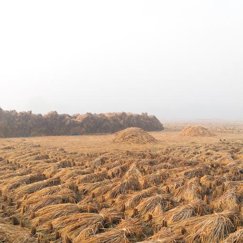 Photo #4092713