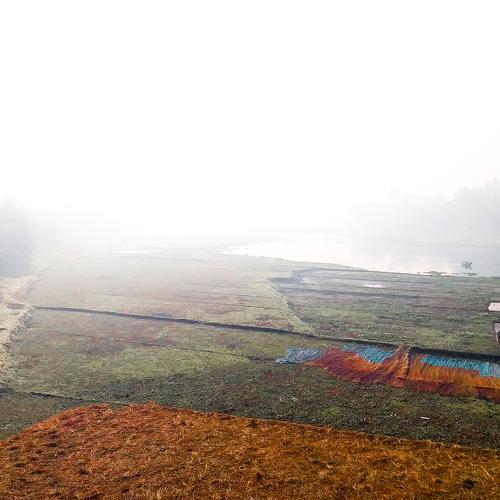 Photo #4092715
