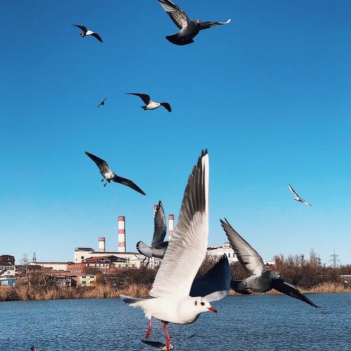 Photo #4092740