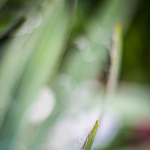 Photo #4093293