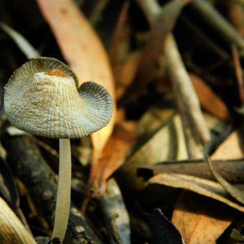 Photo #4093367