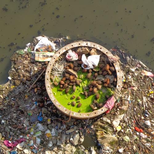 Garbage at the river