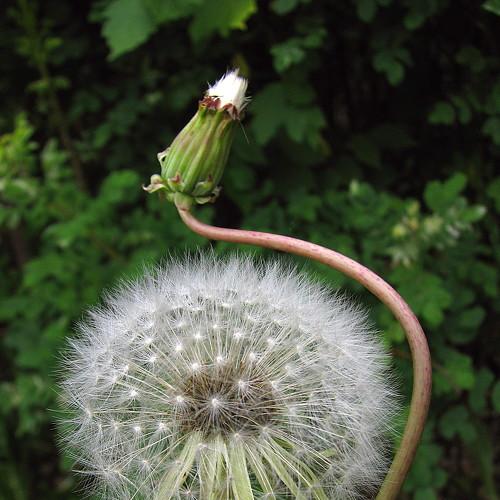 Photo #4093584
