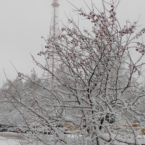 Photo #4093831
