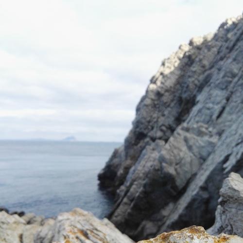 Photo #4094414