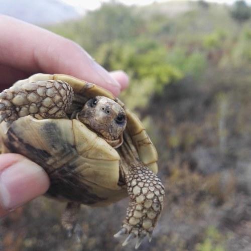 Photo #4094418
