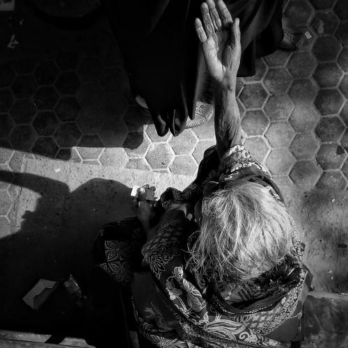 Photo #4094475