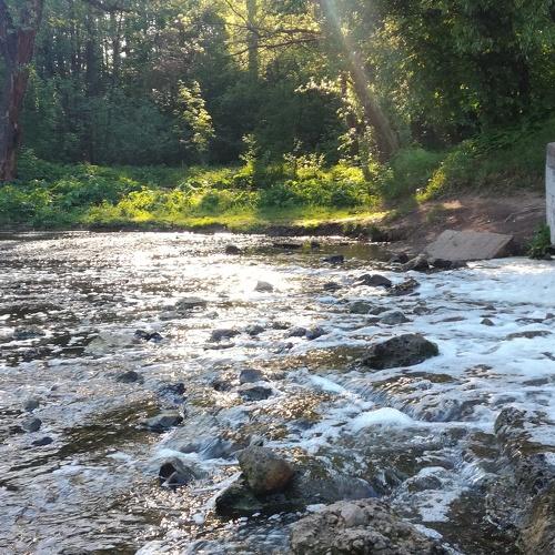 Photo #4095424