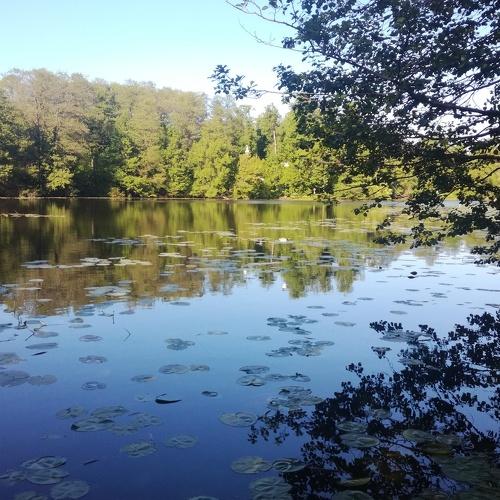 Photo #4095428