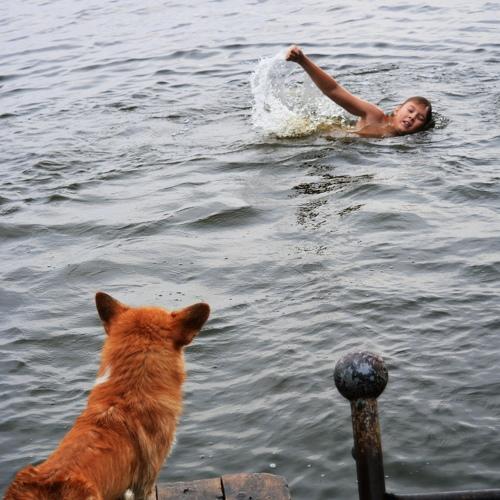 Photo #4095431