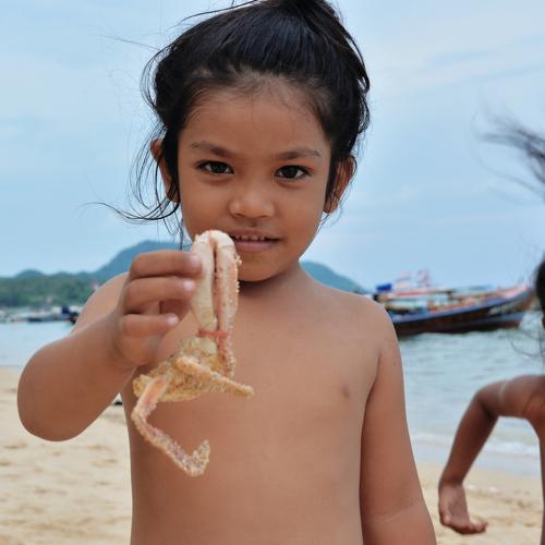 Photo #4095546