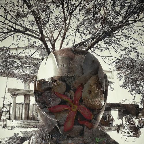 Photo #4095703