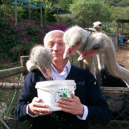 Photo #4096158