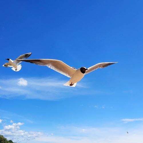 Photo #4096444