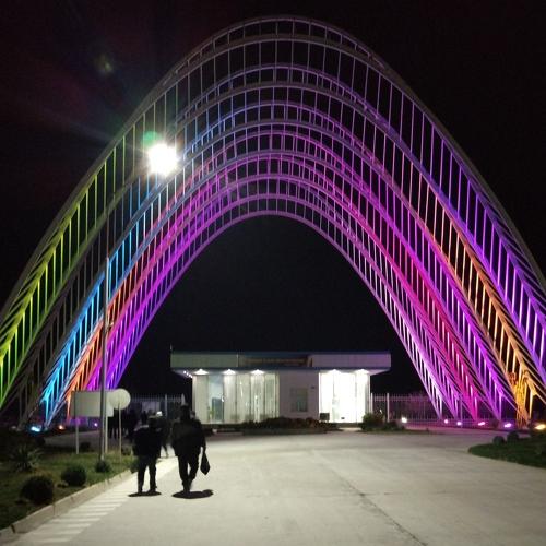 Photo #4096483