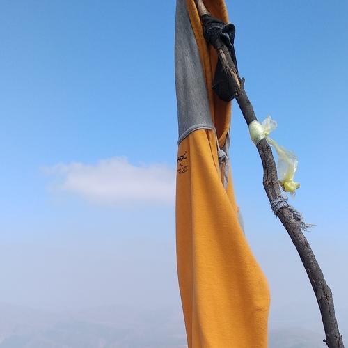 Photo #4096810